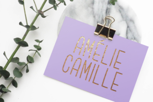 Amélie Camille: A Neat Script Handwritten Font for Editorial Design