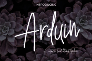 Arduin Typeface: A Bouncing Script for Modern Web Design