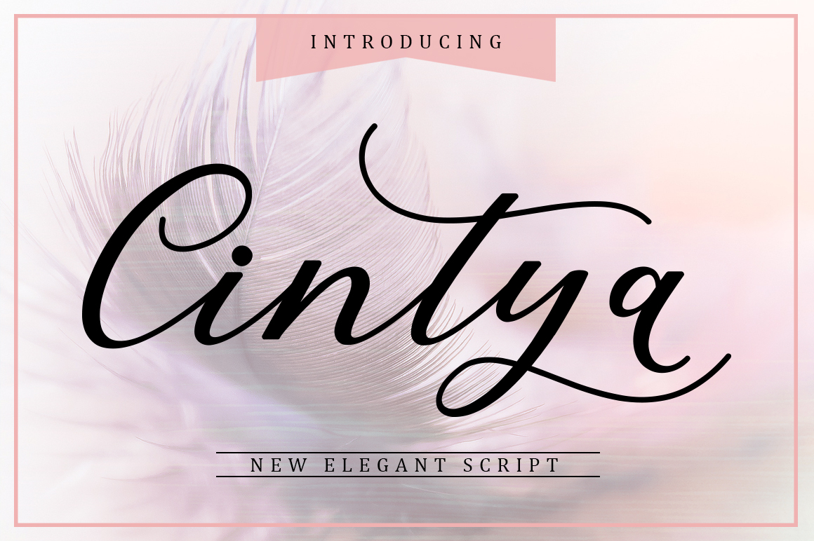 Cintya Font Review: A Modern Script for Elegant Branding