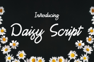 Daisy Script: A Gorgeous Typeface for Editorial Design