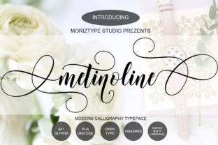 Elevate Your Brand with Metinoline Script Typeface