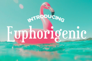 Euphorigenic: A Playful Slab-Serif Typeface for Luxe Campaigns