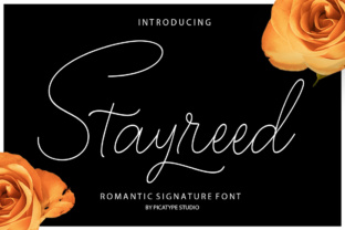 Stayreed Font Review: A Delicate Script for Elegant Designs