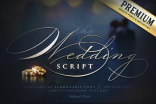 Wedding Script Font Review for Elegant Campaigns